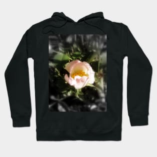 old-fashioned roses by Fox Creek & Columbia River 13 Hoodie